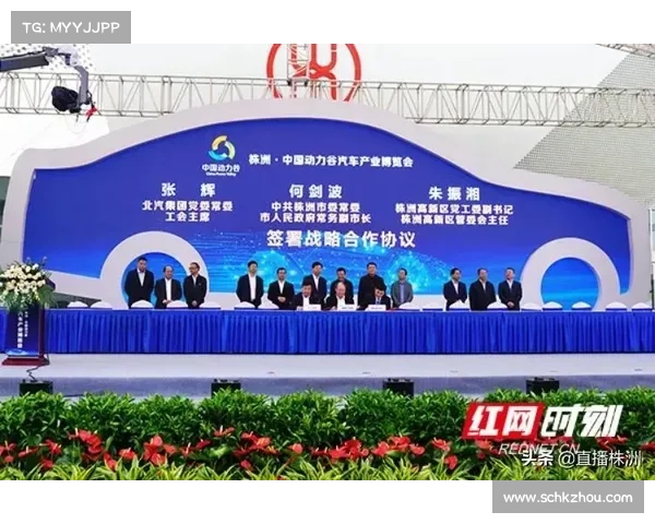 推动部落与联盟合作的十大战略与实施路径解析
